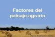 10 Factores del Paisaje Agrario