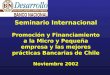 Seminario Internacional Promoción y Financiamiento a la Micro y Pequeña empresa y las mejores prácticas Bancarias de Chile Noviembre 2002