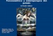 Psicosomática y somatopsiquia del pulmón Alfredo Embid Seminario sobre el pulmón del curso de Medicina Oriental. Octubre 2012