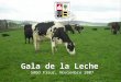 Gala de la Leche SAGO Fisur, Noviembre 2007. 0 10 20 30 40 50 60 70 80 90 X IXVIIIM X IXVIIIM X IXVIIIM % productores % vacas lecheras % recepción Distribución