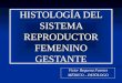Histología del sistema reproductor femenino gestante
