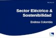 30| 10 | 12 Sector Eléctrico & Sostenibilidad Endesa Colombia