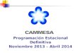 Programación Estacional Definitiva Noviembre 2013 – Abril 2014