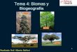 1 Tema 4: Biomas y Biogeografía Realizado Prof: Alberto Batllori