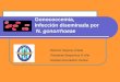 Gonococcemia, Infección diseminada por N. gonorrhoeae Martinez Segovia, Estela Residente Bioquímica 3º Año Hospital Aeronáutico Central