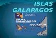 Islas galapagos
