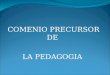 COMENIO PRECURSOR DE LA PEDAGOGIA. LA PIEDAD ILUSTRADA Commenio (1592-1670) fue un hombre esencialmente religioso. Defendió el libre pensamiento. Este