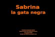 Sabrina la gata negra Foreign Language House Diane Farrug and Catherine Fortin Copyright 2008 Images by classroomclipart.com