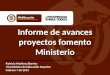Informe de avances proyectos fomento Ministerio Patricia Martinez Barrios Viceministra de Educación Superior Febrero 7 de 2013