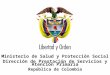 Ministerio de Salud y Protección Social República de Colombia Ministerio de Salud y Protección Social Dirección de Prestación de Servicios y Atención Primaria