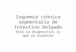 Isquemia crónica segmentaria de Intestino Delgado Sólo se diagnostica lo que se sospecha