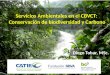 Servicios Ambientales en el CBVCT: Conservación de biodiversidad y Carbono Diego Tobar, MSc
