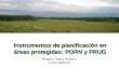 Instrumentos de planificación en áreas protegidas: PORN y PRUG Rosario Tejera Gimeno Curso 2009-10