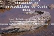 Conservación y situación de crocodílidos de Costa Rica Juan Bolaños 1 y Luz Denia Barrantes 1,2 1 Asociación de Especialistas en Crocodílidos - Costa Rica