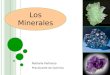 Los Minerales Nathalia Peñaloza Practicante de Química