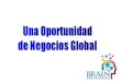 Presentación Oportunidad Brain Abundance en español