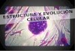 ESTRUCTURA Y EVOLUCIÓN CELULAR. Célula Una célula (del latín cellula, diminutivo de cellam, celda, cuarto pequeño) es la unidad morfológica y funcional