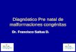 Diagnóstico Pre natal de malformaciones congénitas Dr. Francisco Saitua D
