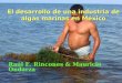 El desarrollo de una industria de algas marinas en México Raúl E. Rincones & Mauricio Ondarza