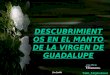 DESCUBRIMIENTOS EN EL MANTO DE LA VIRGEN DE GUADALUPE Con Sonido Yebi_10@hotmail.com a free PPS by: Vi ta no ble