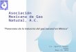 Asociación Mexicana de Gas Natural, A.C. Lic. Agustín Humann Adame Mayo 19, 2010 Panorama de la industria del gas natural en México
