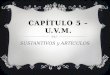 CAPÍTULO 5 – U.V.M. SUSTANTIVOS y ARTÍCULOS. EL ARTÍCULO DEFINIDO EL o LA pgs. 98 & 99