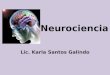 Neurociencia Lic. Karla Santos Galindo. ¿Qué es Neurociencia? La Neurociencia es el conjunto de ciencias cuyo objeto de investigación es el sistema nervioso