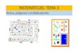 MATEMÁTICAS: TEMA 3 Rectas, polígonos y multiplicaciones