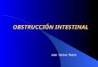 OBSTRUCCIÓN INTESTINAL Juan Carlos Mazzú. OBSTRUCCIÓN INTESTINAL La obstrucción intestinal es la detención del tránsito o de la progresión del contenido