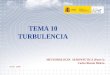 TEMA 10 TURBULENCIA METEOROLOGÍA AERONÁUTICA (Parte I) Carlos Rincón Melero O.E.P. 2.010