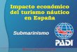 1 Impacto económico del turismo náutico en España Submarinismo