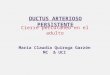 DUCTUS ARTERIOSO PERSISTENTE Cierre percutáneo en el adulto María Claudia Quiroga Garzón MC & UCI