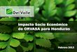 Impacto Socio Económico de ORVASA para Honduras Febrero 2013