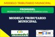 MODELO TRIBUTARIO MUNICIPAL PROMUDEL PROGRAMA MUNICIPIOS PARA EL DESARROLLO LOCAL