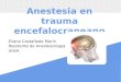 Anestesia en trauma encefalocraneano Eliana Castañeda Marín Residente de Anestesiología UdeA