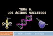 TEMA 6. LOS ÁCIDOS NUCLEICOS 2º Bachillerato - Biología Pachi San Millán IES Muriedas