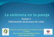 Proyecto de prevención de violencia contra la mujer Plan comunal de seguridad pública Pedro Aguirre Cerda Sesión 5 Enfrentando situaciones de crisis