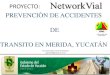 P R O Y E C T O Networkvial Azcapotzalco2010