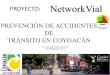 Proyecto Networkvial Coyoacan2010