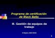 1 Programa de certificación de Black Belts III. Gestión de equipos de trabajo P. Reyes / Abril 2010
