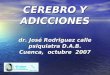 CEREBRO Y ADICCIONES dr. José Rodriguez calle psiquiatra D.A.B. Cuenca, octubre 2007