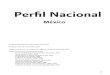 52001405 estadisticas-dfe-la-seguridad-vial-nacional-en-mexico-2008