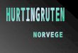 Hurtingruten (Ruta directa) Ferry & Transport Service entre Bergen y Kirkenes, los orígenes de esta ruta marítima se remontan mas de cien años. Esta