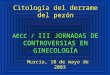 Citología del derrame del pezón AECC / III JORNADAS DE CONTROVERSIAS EN GINECOLOGÍA Murcia, 10 de mayo de 2003