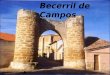 Becerril de Campos JCA Septiembre 2013 Becerril de Campos es una localidad y municipio en la comarca de Tierra de Campos de la Provincia de Palencia,