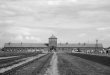 Álbum de fotografías por user Historia del campo de concentración de Auschwitz Auschwitz se ha convertido en el símbolo del terror, genocidio y holocausto