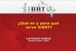 ¿Qué es y para qué sirve SIBRT? Luis Ricardo Gutiérrez Secretario General - SIBRT
