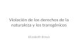 Violación de los derechos de la naturaleza y los transgénicos Elizabeth Bravo