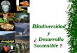 Bio diversidad y ¿ Desarrollo Sostenible ?. ¿Qué es Biodiversidad? Biodiversidad Se define Biodiversidad como la variabilidad de organismos vivos de cualquier
