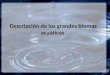 Descripción de los grandes biomas acuáticos.. 0- Introducción Limnología: es la ciencia que estudia los ecosistemas de los lagos y lagunas. ¿Cuánta agua